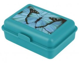 Box na svainu BAAGLButterfly  A-33041