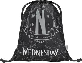 BAAGL Sek Wednesday Nevermore