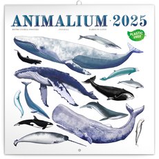 NOTIQUE Poznmkov kalend Animalium 2025, 30 x 30 cm