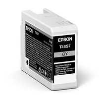 Epson originln ink C13T46S700, gray