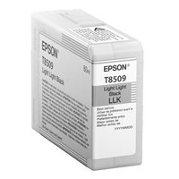 Epson originln ink C13T850900, light black, 80ml