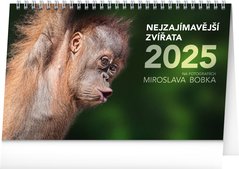 NOTIQUE Stoln kalend Nejzajmavj zvata 2025, 23,1 x 14,5 cm